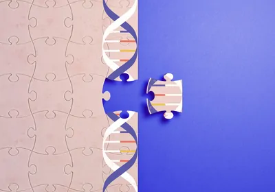 Illustration showing a puzzle piece of DNA being removed Illustration showing a puzzle piece of DNA being removed